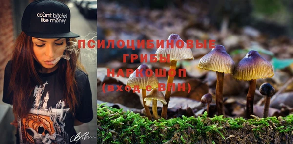 дмт Новозыбков