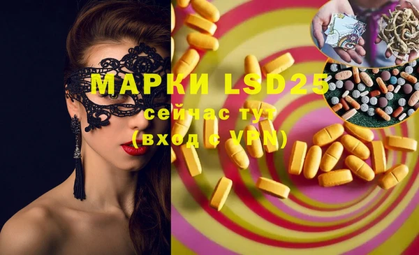 дмт Новозыбков