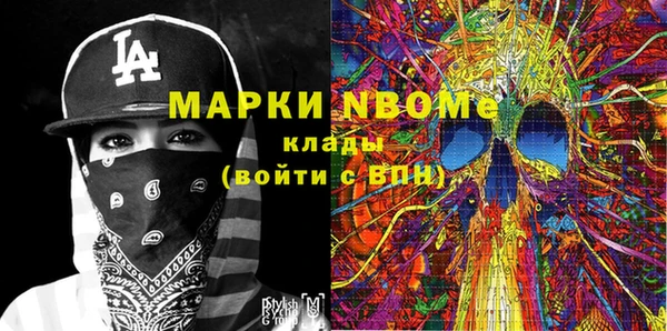 дмт Новозыбков