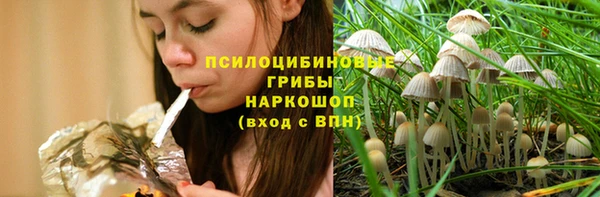 mdpv Новодвинск