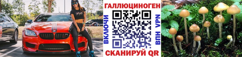 Псилоцибиновые грибы GOLDEN TEACHER  Козьмодемьянск 
